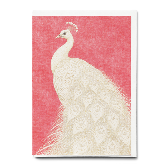 Majestic white peacock - Greeting Card