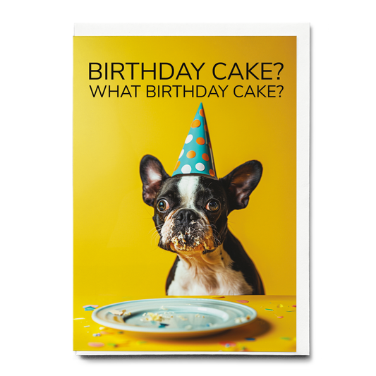 What birthday cake? (Dog) - Greeting Card