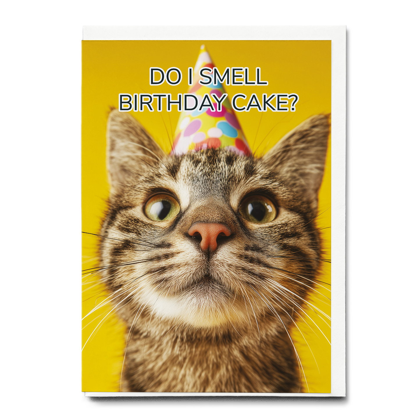 Do i smell Birthday cake? (cat) - Greeting Card