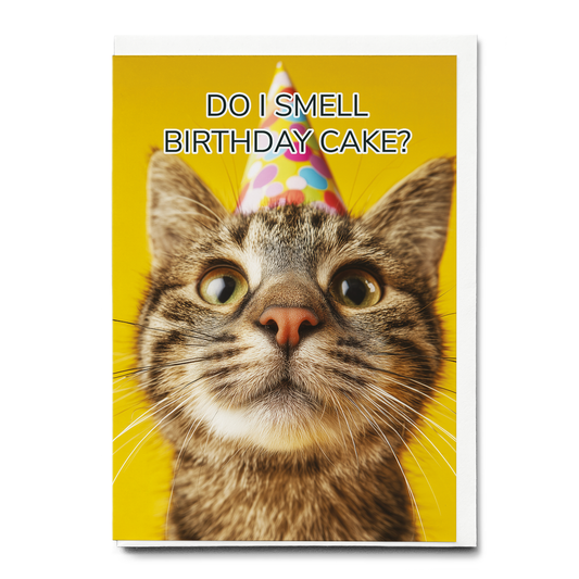 Do i smell Birthday cake? (cat) - Greeting Card
