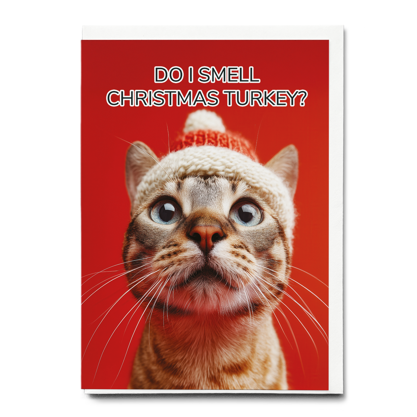 Do i smell Christmas turkey? (Cat) - Greeting Card