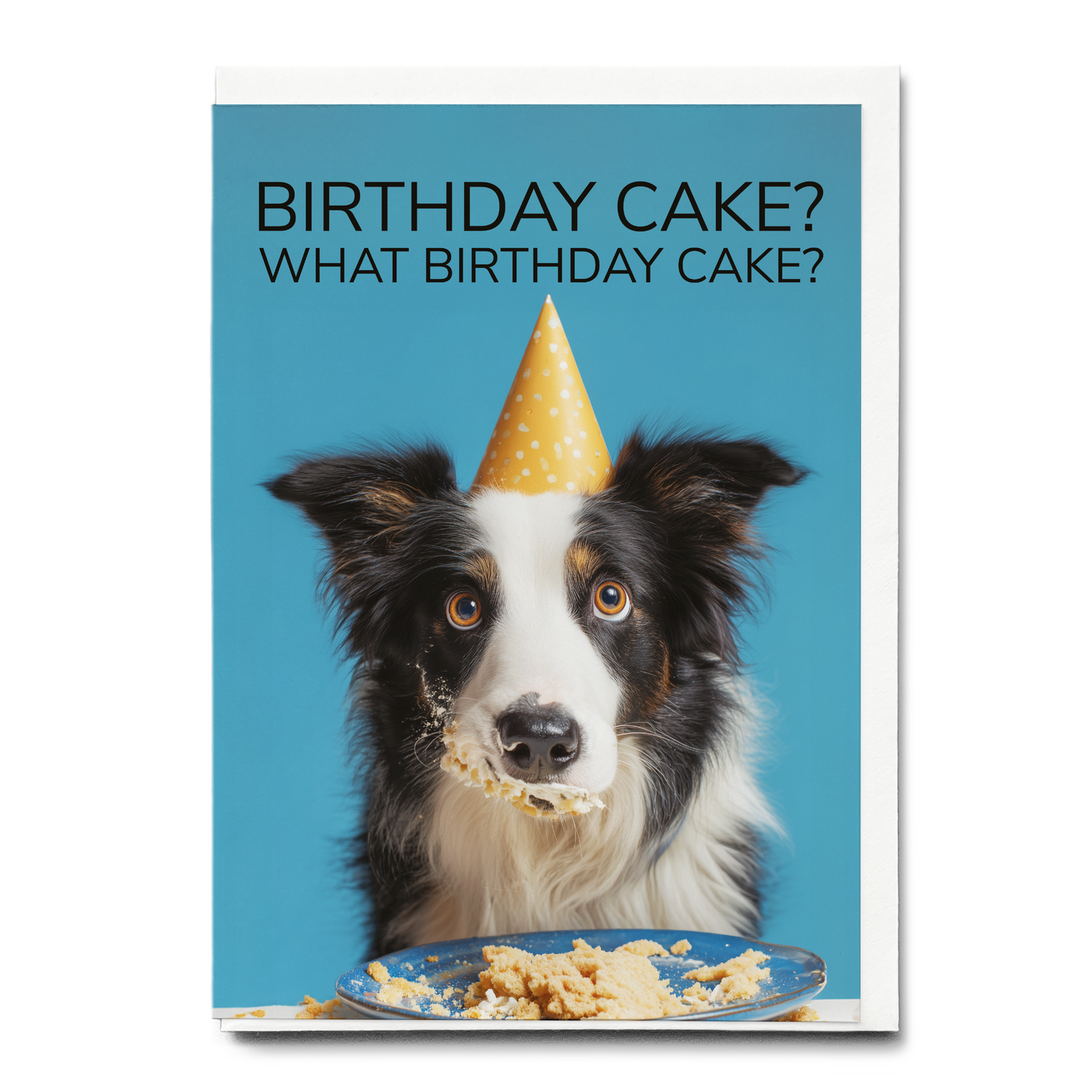 What birthday cake? (Bordercollie) - Greeting Card