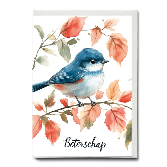 Beterschap (Little bird) - Greeting Card