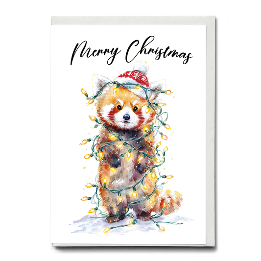 Cute red panda tangles in Christmas lights - Greeting Card