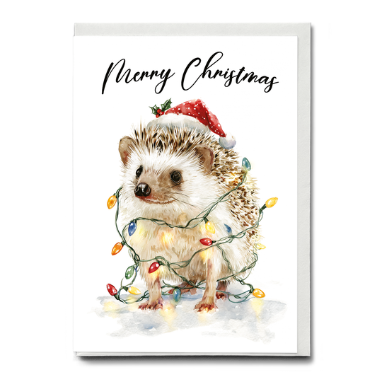 Cute hedgehog tangles in Christmas lights - Greeting Card