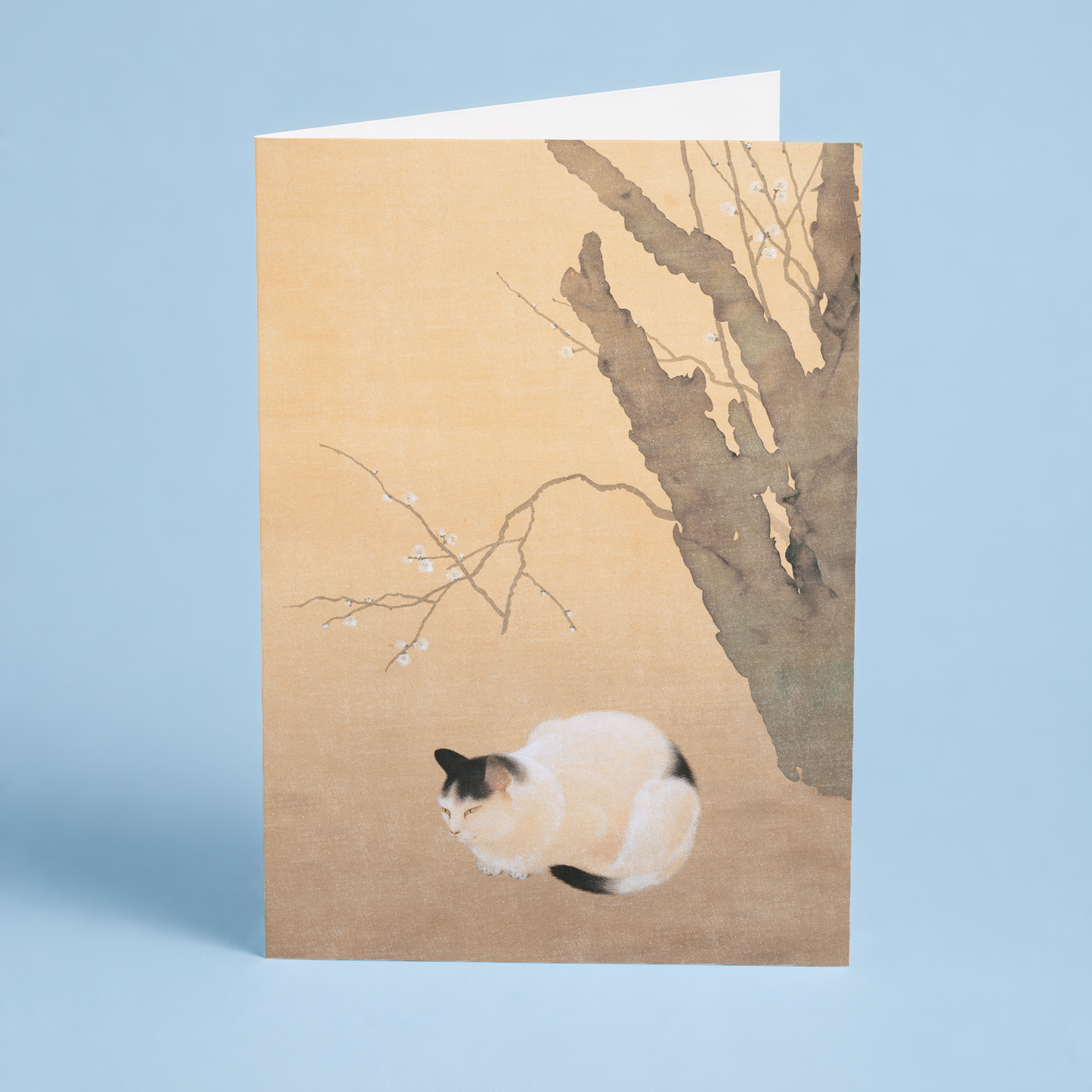 Cat and Plum Blossoms by Hishida Shunso - Greeting Card