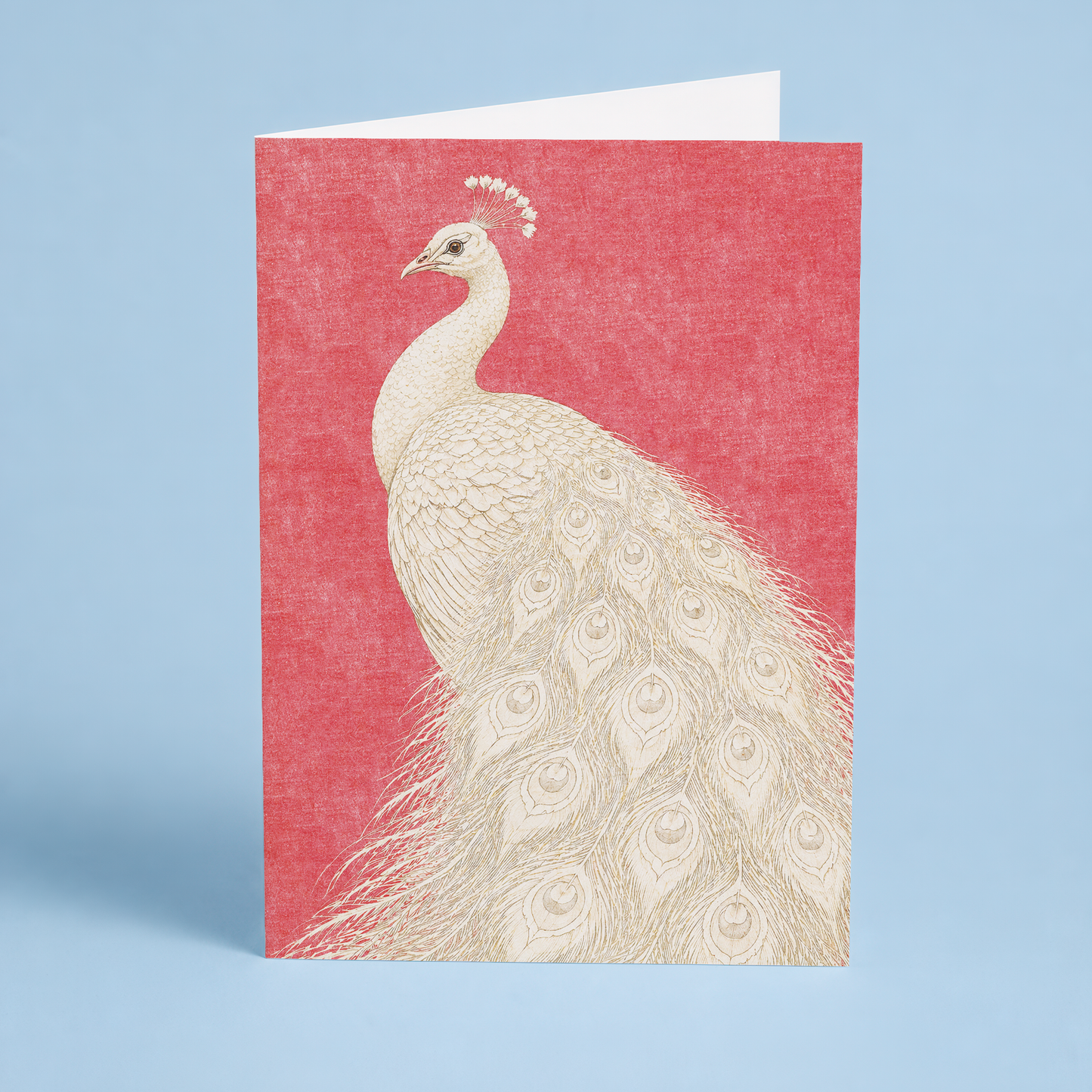 Majestic white peacock - Greeting Card