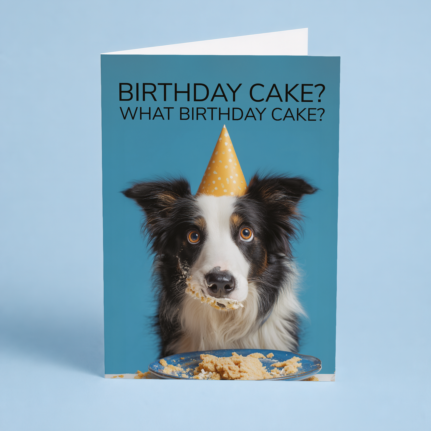 What birthday cake? (Bordercollie) - Greeting Card