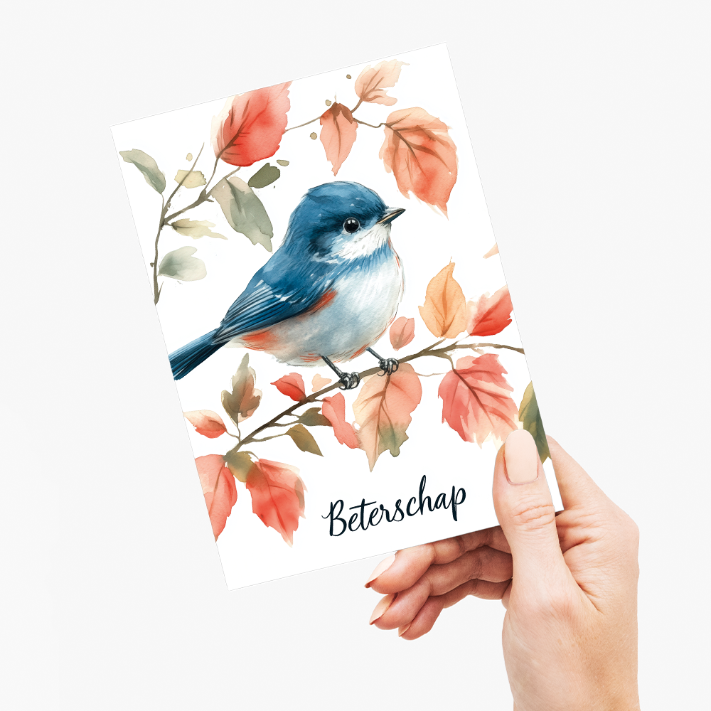 Beterschap (Little bird) - Greeting Card