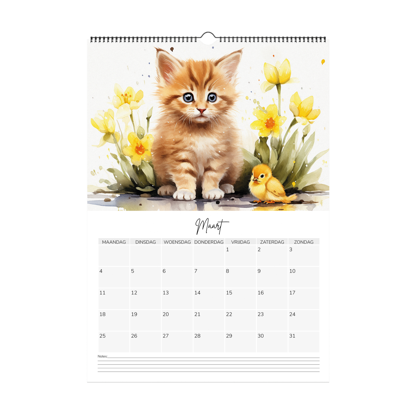 Watercolour kitten Calendar 2024