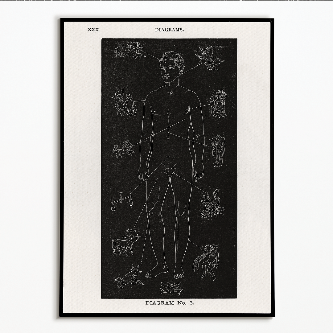 Diagram no.3 Solar Biology By Hiram Erastus Butler - Art Print