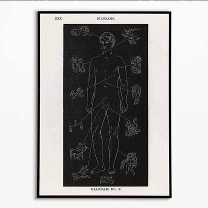 Diagram no.3 Solar Biology By Hiram Erastus Butler - Art Print