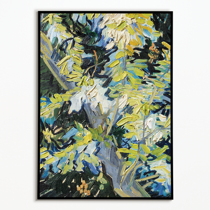 Blossoming Acacia Branches By Van Gogh - Art Print