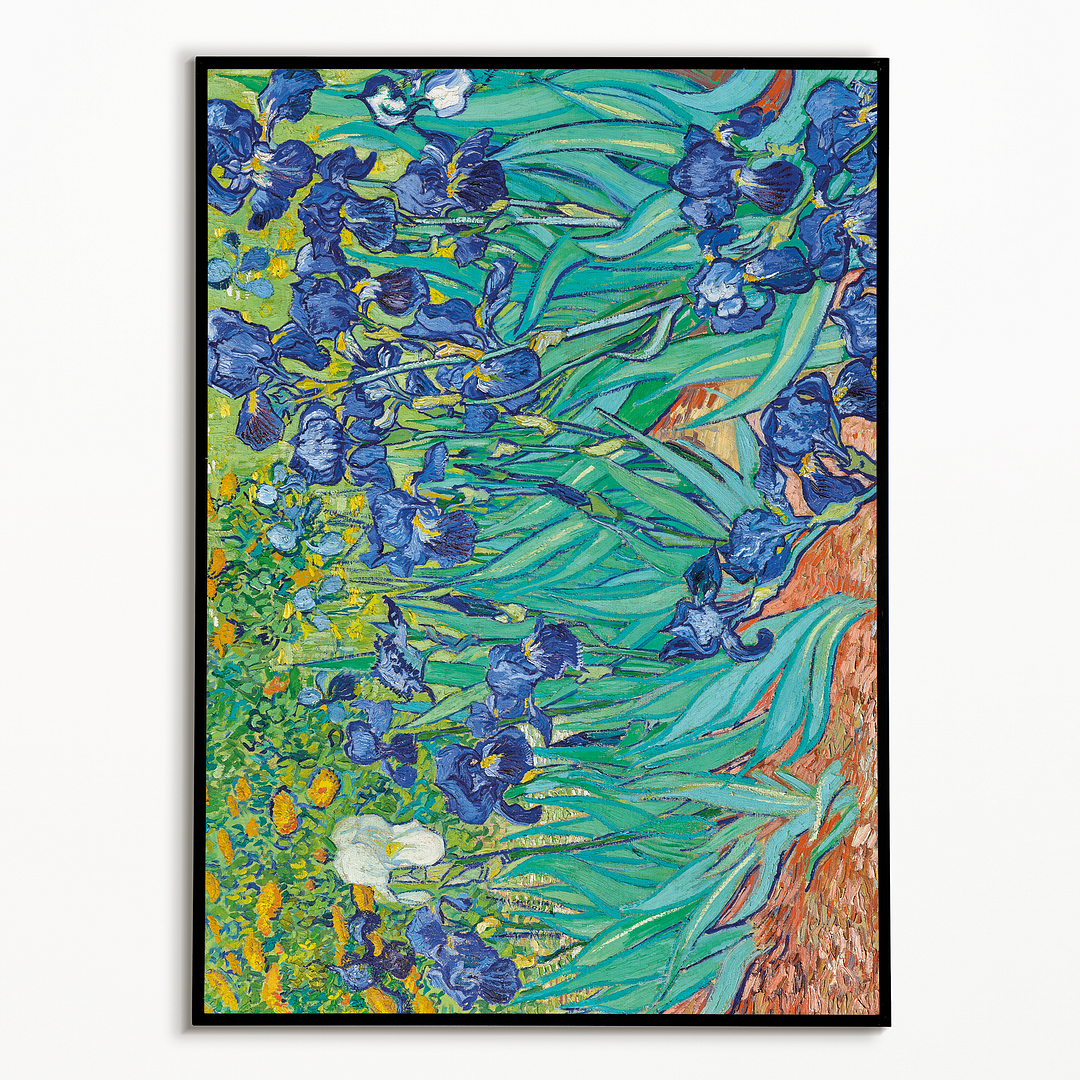 Vincent Van Gogh's Irises  - Art Print