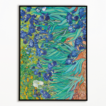 Vincent Van Gogh's Irises  - Art Print