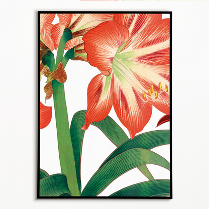 Amaryllis flower By Tanigami Kônan Art-Print