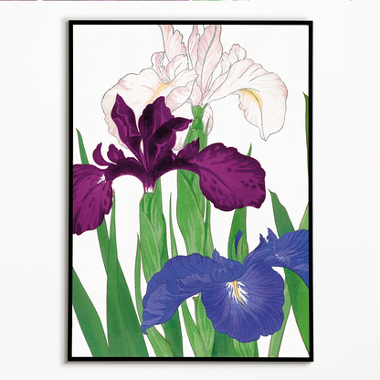 Iris By Tanigami Kônan Art-Print