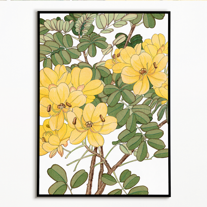 Allamanda By Tanigami Kônan Art-Print