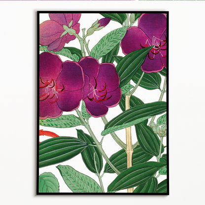 Melastoma By Tanigami Kônan Art-Print