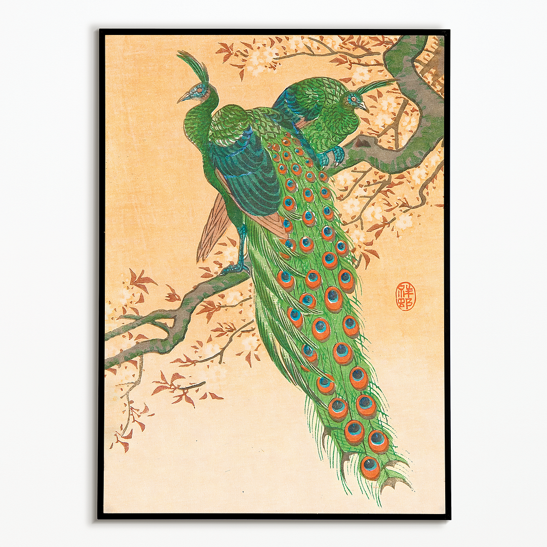 Peacock and Peahen on Branch By Ohara Koson - Art Print