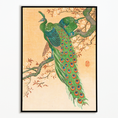 Peacock and Peahen on Branch By Ohara Koson - Art Print