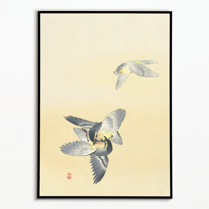 Two fighting birds By Ohara Koson - Art Print
