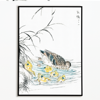 Duck By Numata Kashu - Art Print