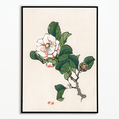 Camelia by Kōno Bairei  - Art Print