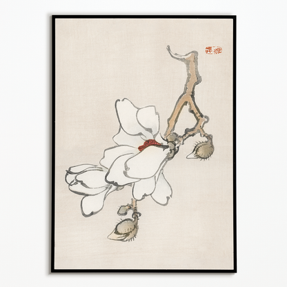 Magnolia by Kōno Bairei - Art Print