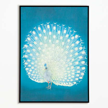 Peacock (Blue) By Ohara Koson - Art Print