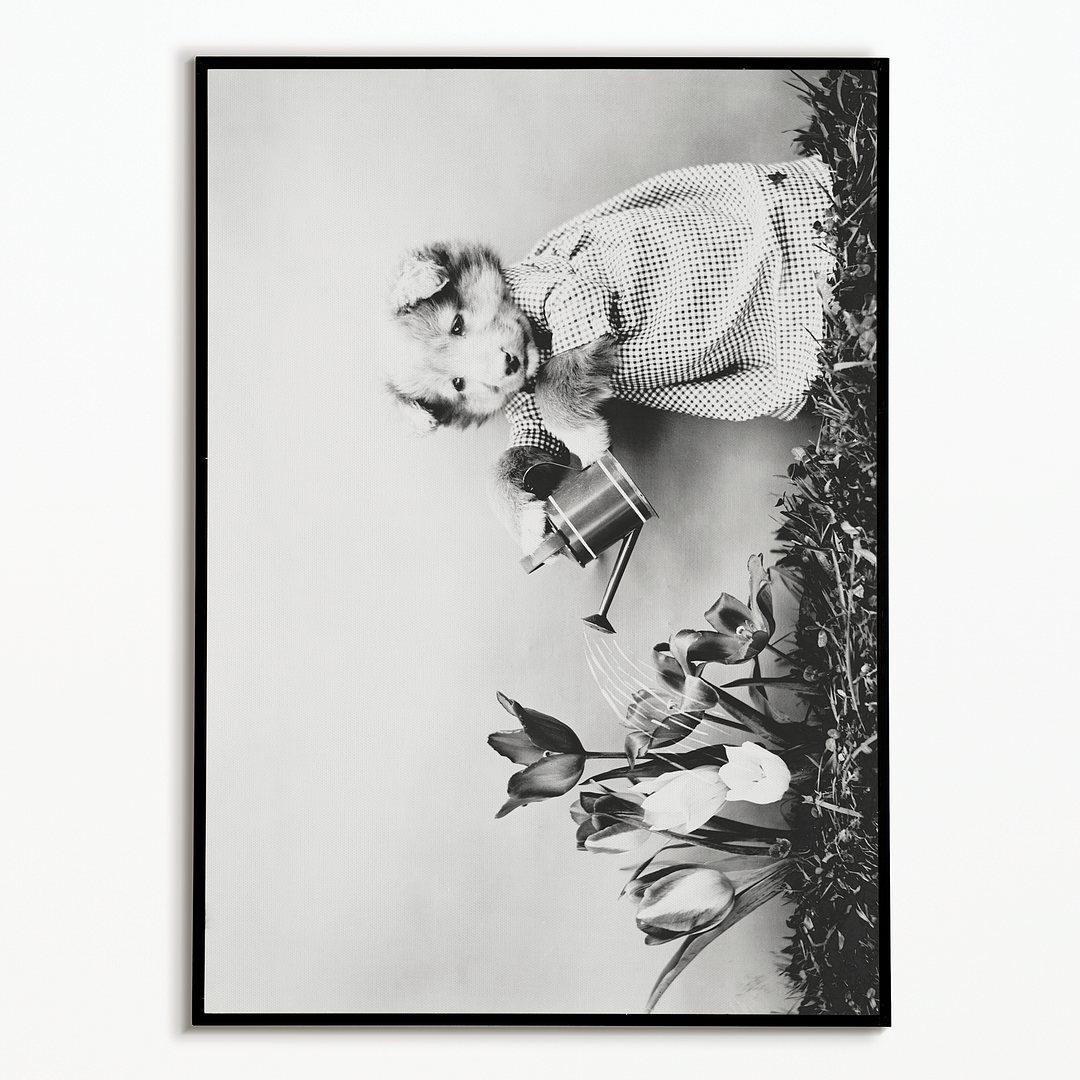 Dog watering plant - Art Print