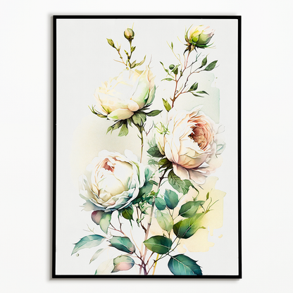 White rose II - Art Print