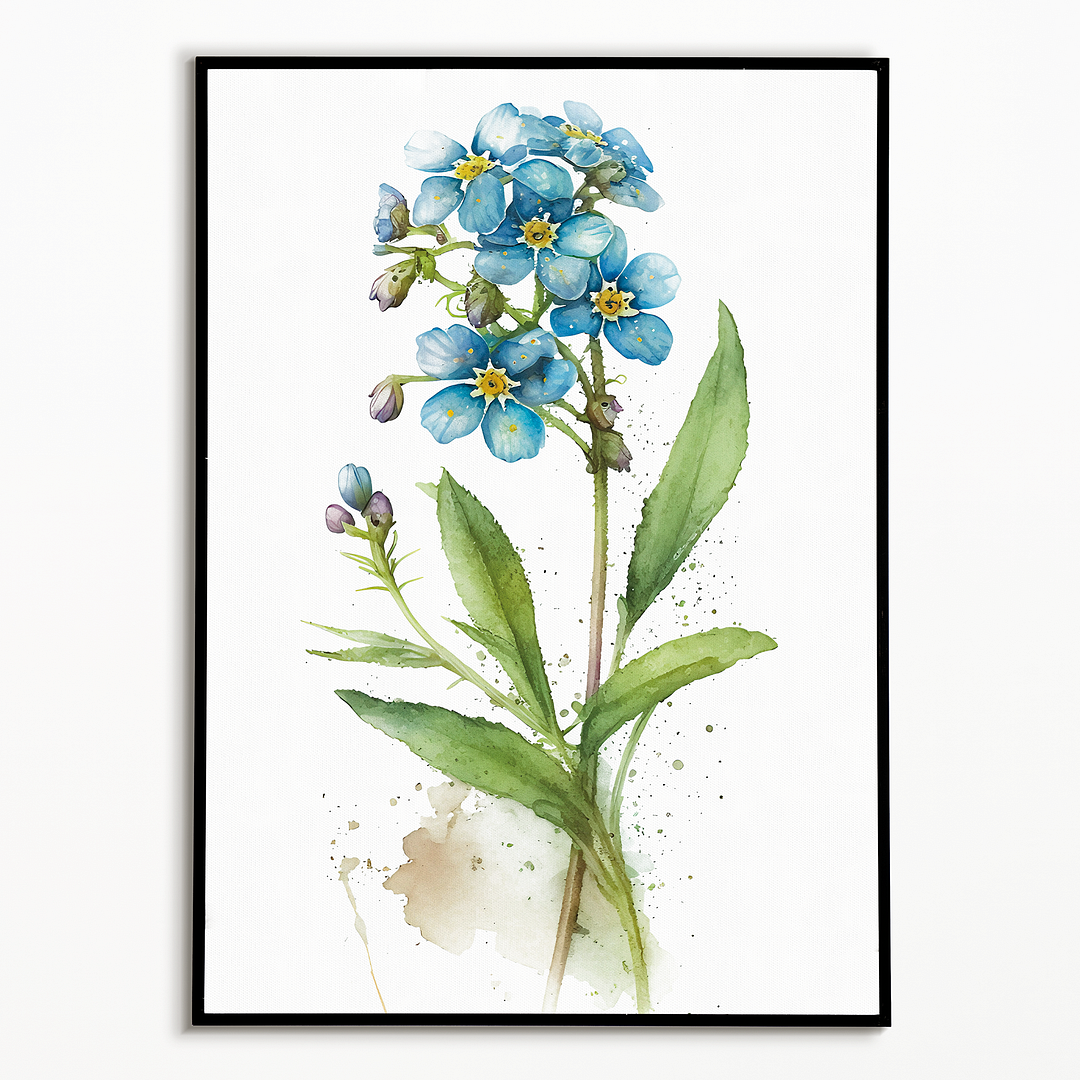 Forget me not I - Art Print