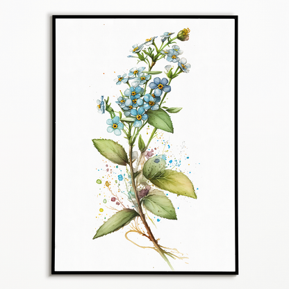 Forget me not II - Art Print