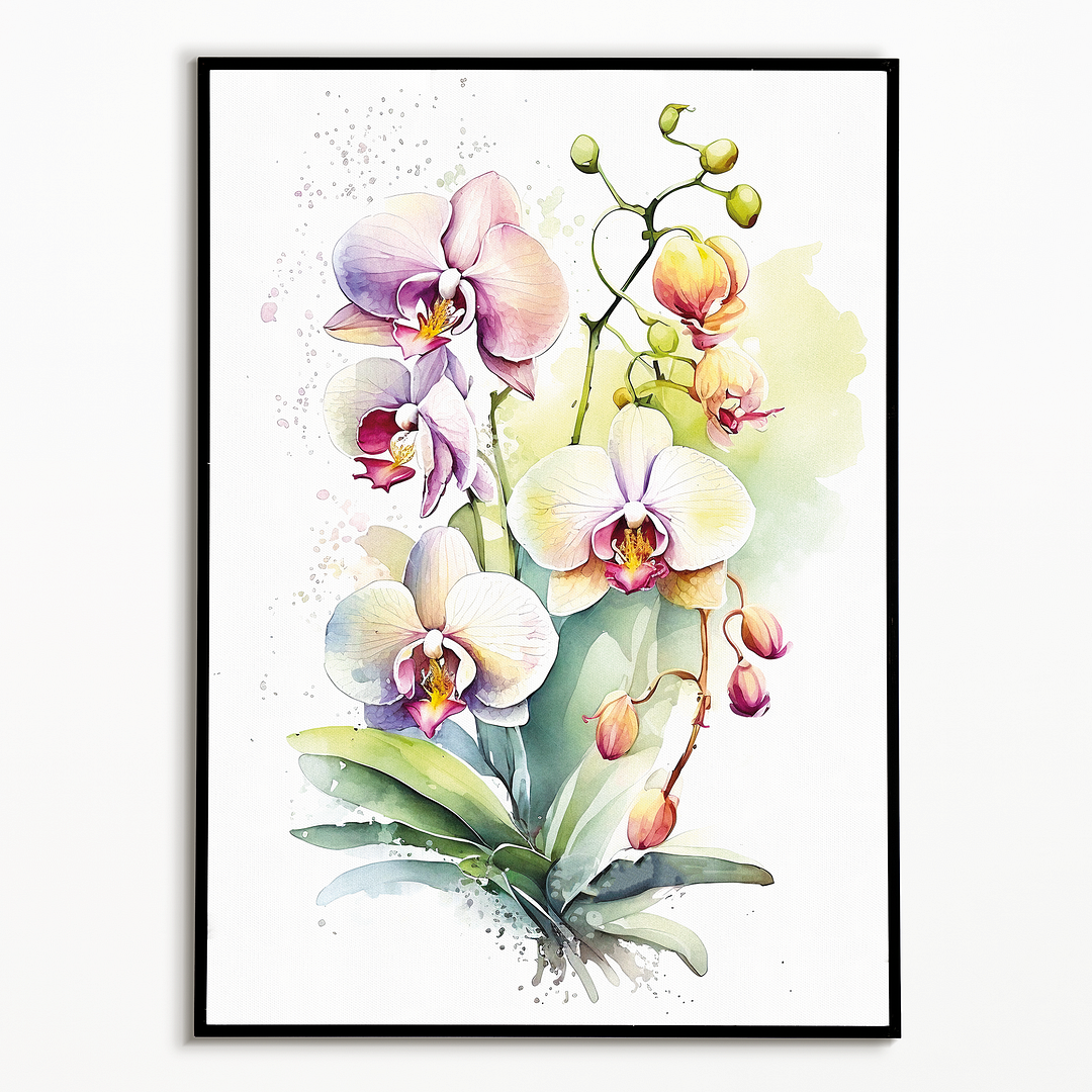 Orchids II - Art Print