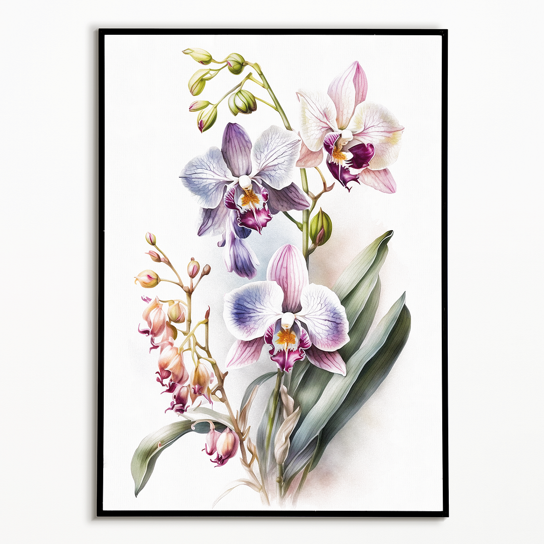 Orchids IV - Art Print
