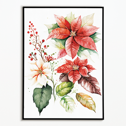Poinsettias II - Art Print