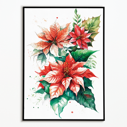 Poinsettias III - Art Print