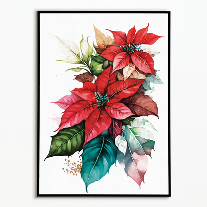 Poinsettias IV - Art Print