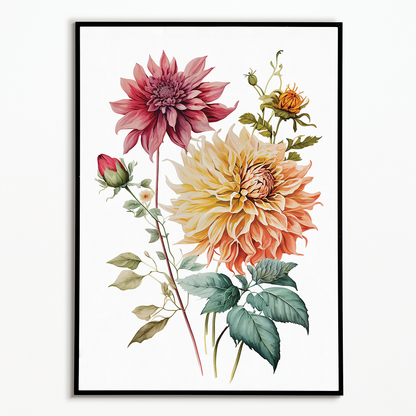 Dahlia's 1 - Art Print
