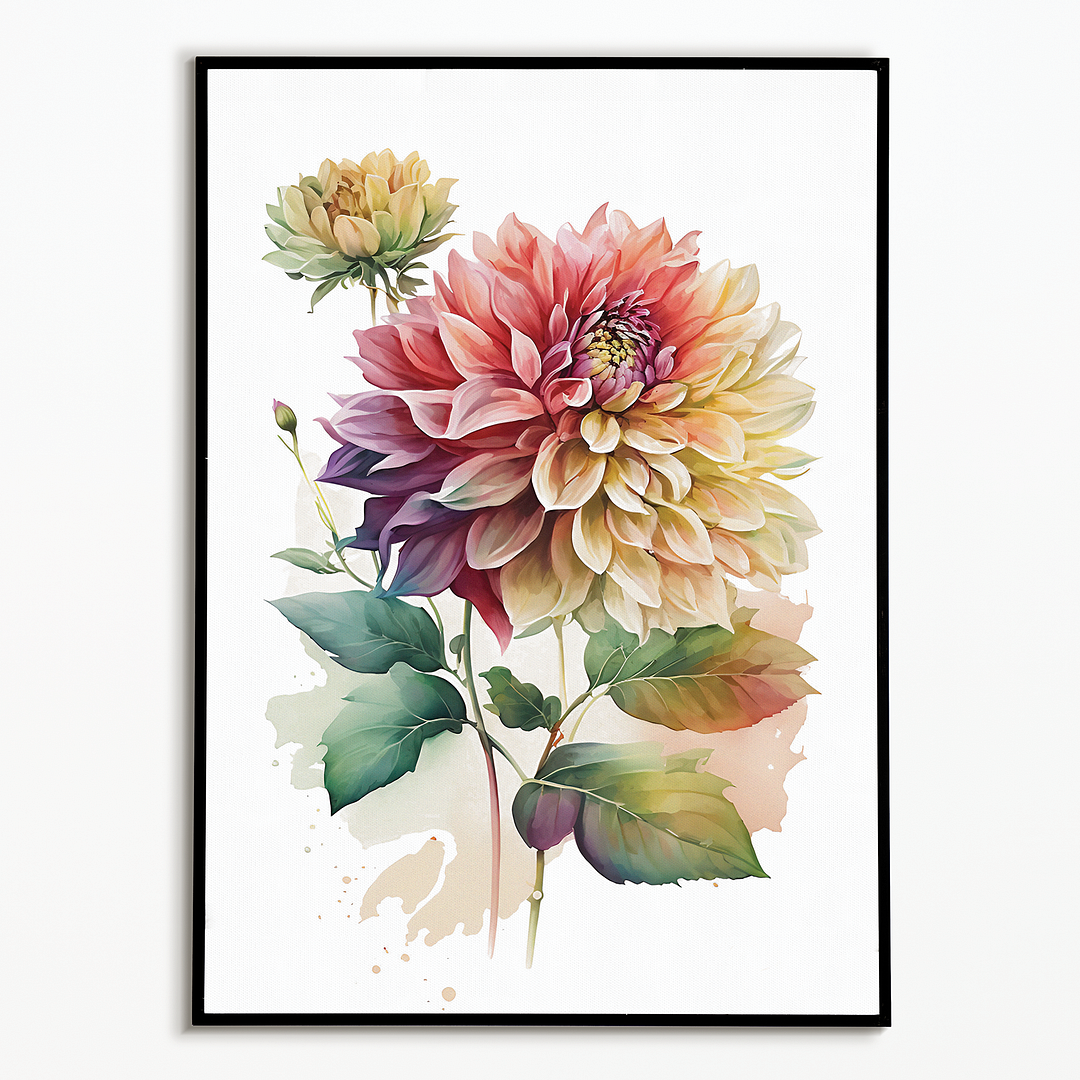 Dahlia's 3 - Art Print