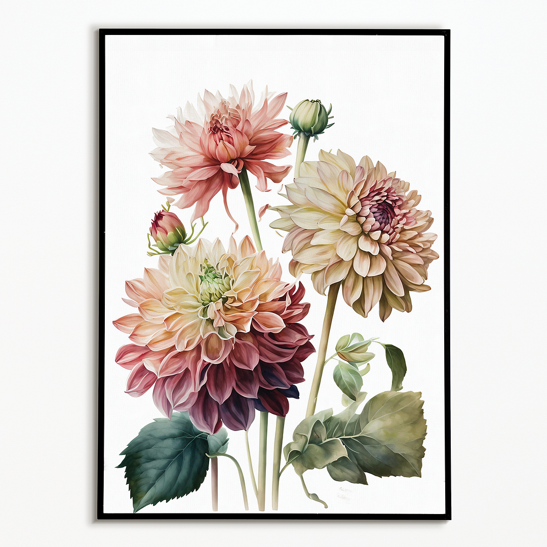 Dahlia's 4 - Art Print