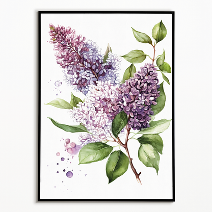 Lilacs 3 - Art Print