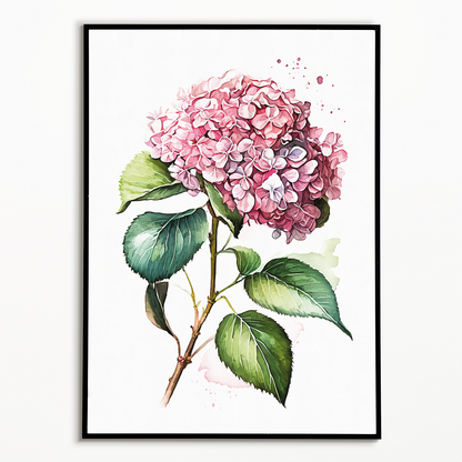 Hydrangea 1 - Art Print