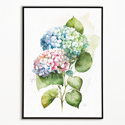 Hydrangea 3 - Art Print