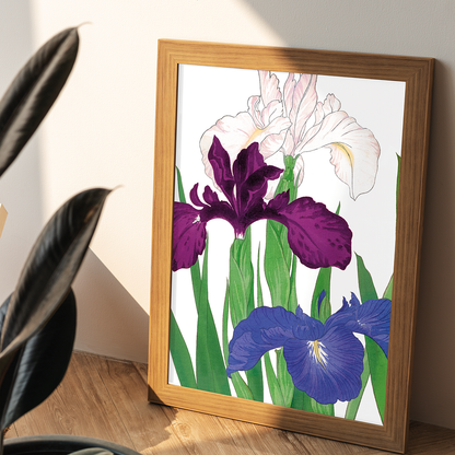Iris By Tanigami Kônan Art-Print