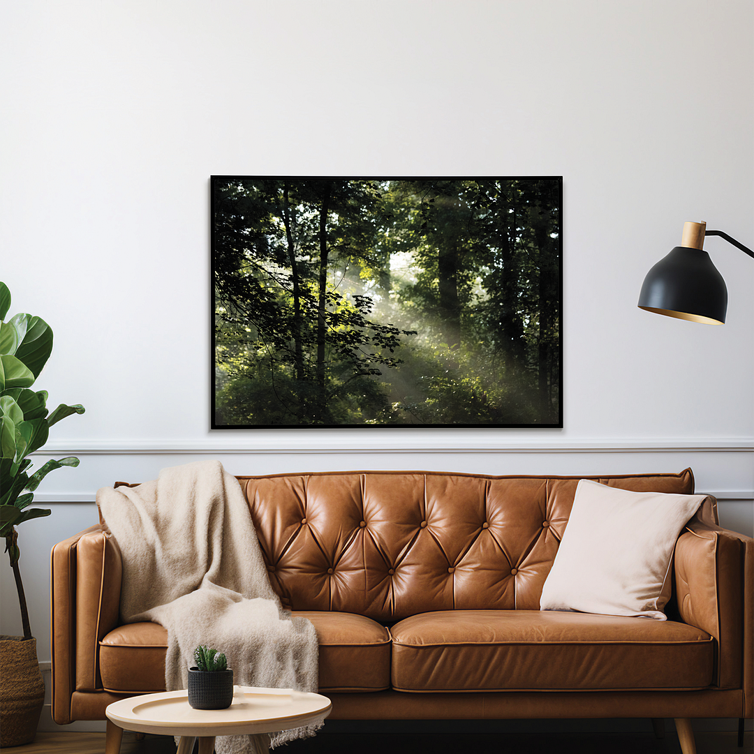 An early morning scene in Davidson River Campground - Art Print