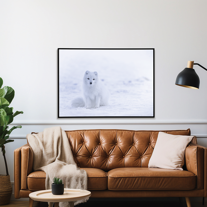 arctic fox sitting on snow - Art Print