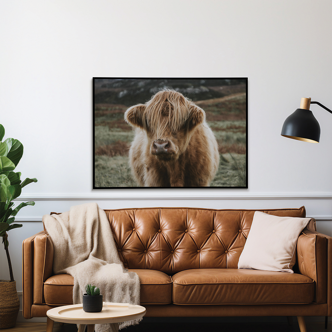 Calf - Art Print