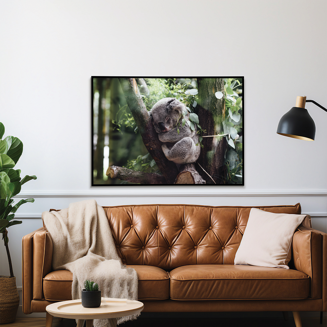 Koala sleeping on a tree branch - Art Print